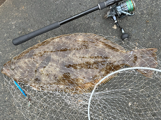 2025年 ジグサビキング釣果 その1 ヒラメ71cm 山形 庄内 酒田