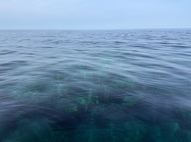 ▲底が見えるが、岩が見えるが海藻が殆ど生えていないような?磯焼け?
確か水深7m程の場所