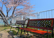 新井田川の桜並木沿いに歩いて疲れたら、天真グラウンドの脇に新井田川に向ってちょっとシャレたベンチがあります。 新井田川遊歩道に