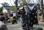 カメラ目線でハイポーズ 鵜渡川原まつり 獅子舞 2011.4.18