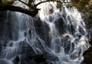 滝が続くので、アップするのを待っていたらすっかり忘れてしまっていました(;^_^ A
八幡の黒川地区近くにある神社の裏手にある滝です。
「開運、出世の瀧」ということで遠くからわざわざお参りに来る人もいるそうです。
お地蔵さんが何体も、滝に打たれているように見えませんか…? 不動の滝 酒田市八幡地区 2011.11.3