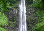 確か東北一の落差だったと思ったが…
北向きだから人気がないとか…?
この日はしぶきが掛かって近くまで行けませんでした。 新緑の玉簾の滝