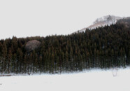 モノトーンの世界?
辛うじて杉の緑が分かりますね。 玉簾の滝 途中の杉林