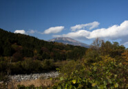 升田の日向川の河原近くからちょうど鳥海山の山頂が覗いていたので… 升田から鳥海山頂 酒田市八幡地区 2011.11.3