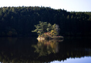 ちょうど逆光になって池の中の島が輝いて見えました。 升田の日向川の河原近くからちょうど鳥海山の山頂が覗いていたので…