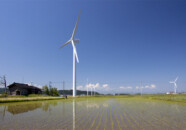 田植えが終わった直後の田んぼに映る風車。稲がもう少し成長すると水面は見えなくなります。(その2) 早春の風車 その2