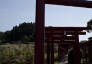 白狐山御宝前道? 多分「宝」の本字だと思うのですが… 光星寺 白狐山御宝前道? 2011.9.9