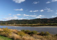 立川の風車付近の土手から最上川の下流方向 立川 最上川