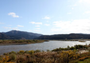 立川の風車のある土手付近から最上川の上流方向を望む風景 立川 最上川