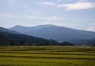 この辺は行ったことが無いのであまりよくわかりません。 立谷沢?の方から月山山頂を望む 2011.9.9