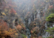 橋の上から見下ろすと吸い込まれそうな景色です。
未熟故、写真では表現できない… 鳴子峡 2009 1031