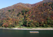 戸沢村 白糸の滝と最上川舟下り