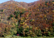 タテ 白糸の滝と最上川舟下り