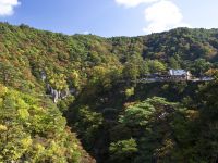 大深沢橋から鳴子峡レストハウスの方を見た感じです。
中腹に白い手摺りが少し見えるところが谷底にある回顧橋展望デッキへの遊歩道です。
♪行きは良い良い帰りはちょっときつい? 大深沢橋から 2010 1023