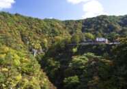 大深沢橋から鳴子峡レストハウスの方を見た感じです。
中腹に白い手摺りが少し見えるところが谷底にある回顧橋展望デッキへの遊歩道です。
♪行きは良い良い帰りはちょっときつい? 大深沢橋から 2010 1023