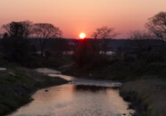 帰りにちょうど日が沈むところだったので、急いでカメラを出して撮りました。 遊佐の夕日 20140424