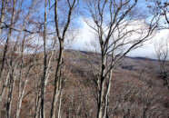 残念ながらこの日は山頂は見えませんでした。 二の滝付近から鳥海山頂を望む