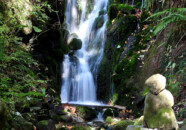 これは左側の滝です。 胴腹の滝