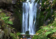 こちらが右側の滝です。 胴腹の滝