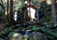 ニの滝に向かう途中にある胴腹の滝に行ったのはこれで2度目です。
ここは湧水の名水として有名ですね。この日も2人の方が水を汲みに来ていました。
小さな祠と道祖神が祀られていて、古来よりの恵みに感謝する気持ちが伝わってきます。 胴腹の滝