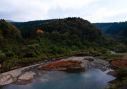 月光川ダムから右手のほうの沢 月光川ダムから 2011.11.1