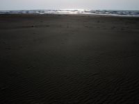 ここは夏には西浜海水浴場として海水浴客で賑わいます。
と言って昔ほど人が来ていないように思えます。湯野浜の方がリゾートっぽいからでしょうか?
でも、ここの砂は目が細かくて感触がいいです。 西浜海岸 風紋