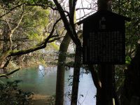 丸池の説明が書いてある立札があります。
読めますか?私のモニターだと何とか読めるのですが…
県内で唯一、湧水のみを水源としているのだそうです。
そのためか?倒木や葉っぱがなかなか朽ちないのだそうです。バクテリアが少ないのかも知れませんね。
周りの木々も人の手が入っていない原始林なのだそうです。 丸池様