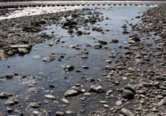 日本屈指の清流なのですが、以前降った大雨で上流が土砂崩れして水が濁ったと聞いた記憶があります。
確かに白っぽく濁っています。
立谷沢川といえば昔、砂金が採れた川としても有名ですが、どの辺なんでしょうか? 立谷沢川 2011.9.9